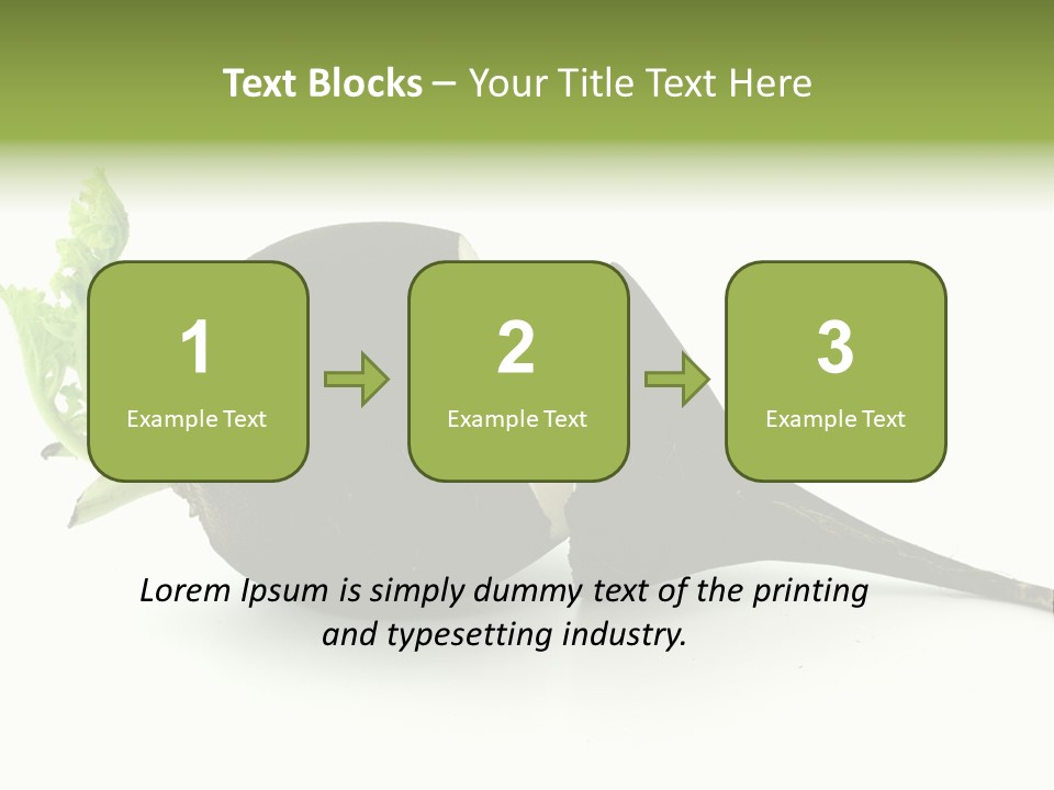 Radish (Raphanus) PowerPoint Template