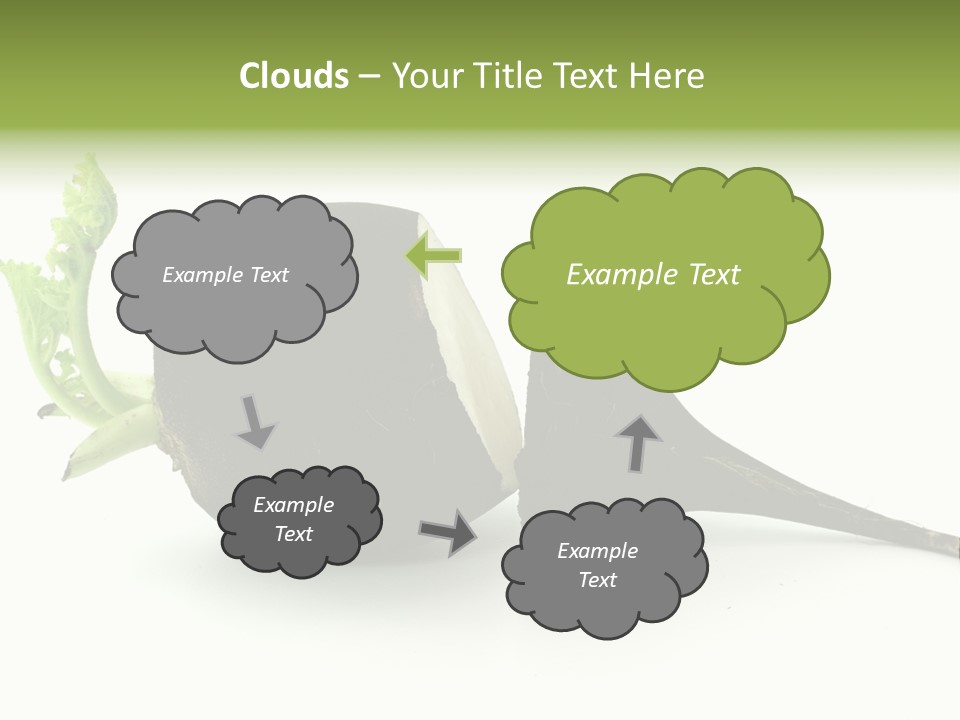 Radish (Raphanus) PowerPoint Template