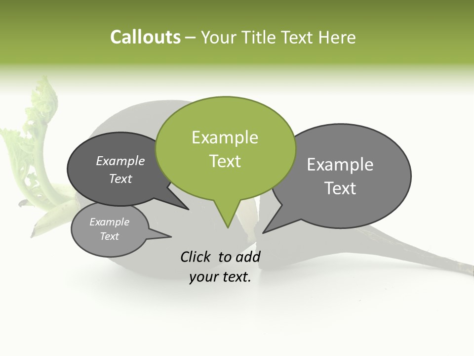 Radish (Raphanus) PowerPoint Template