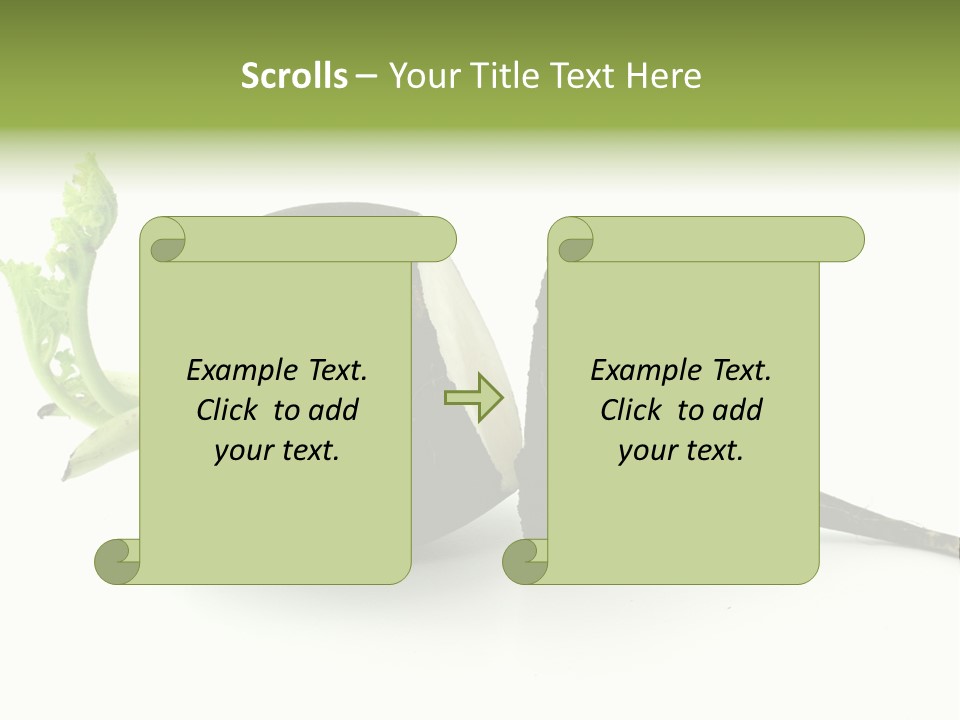 Radish (Raphanus) PowerPoint Template