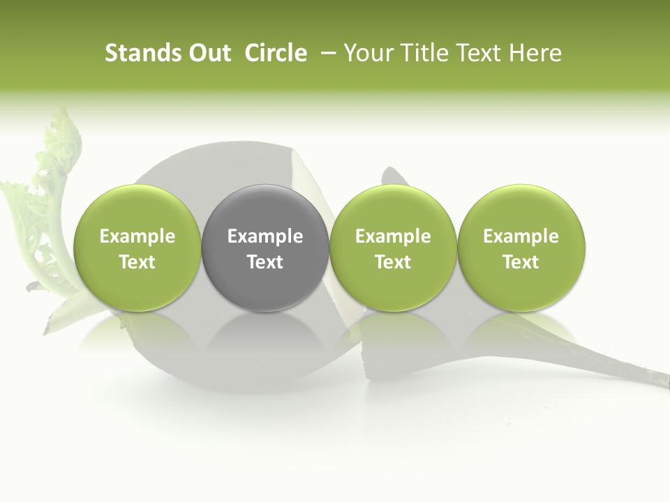 Radish (Raphanus) PowerPoint Template