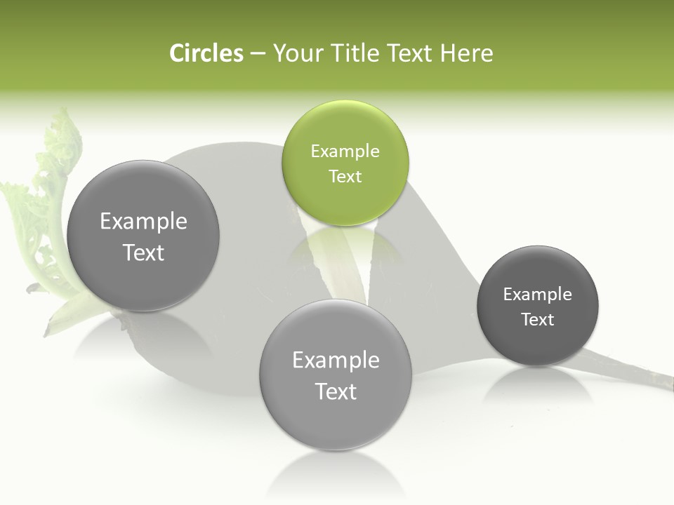 Radish (Raphanus) PowerPoint Template