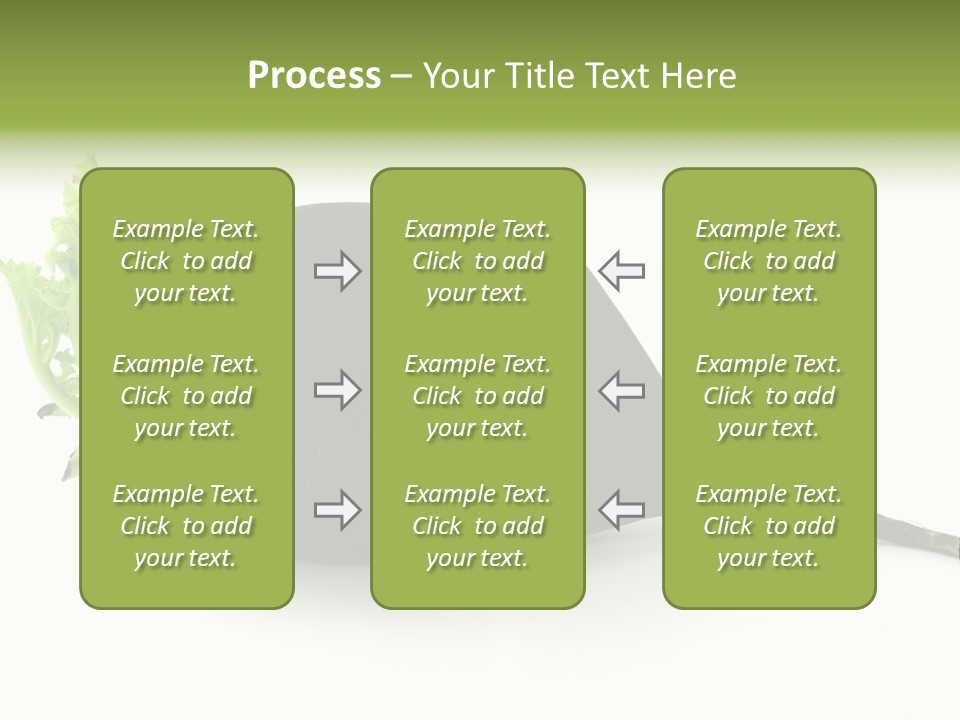 Radish (Raphanus) PowerPoint Template