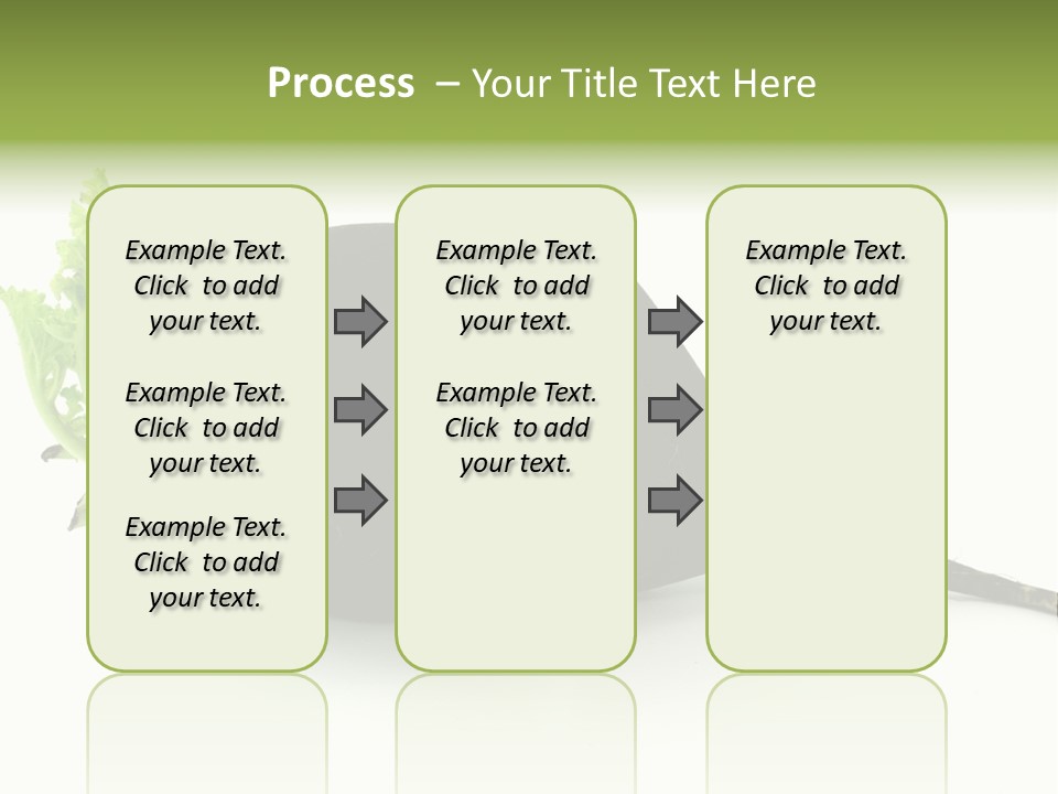 Radish (Raphanus) PowerPoint Template