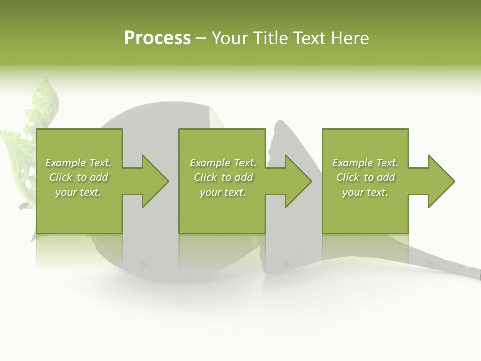 Radish (Raphanus) PowerPoint Template