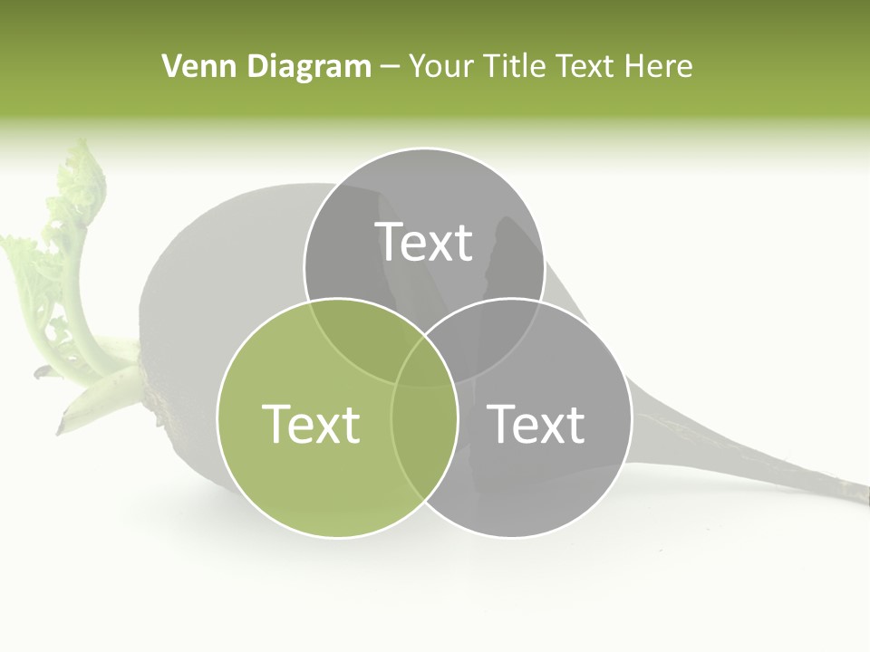 Radish (Raphanus) PowerPoint Template