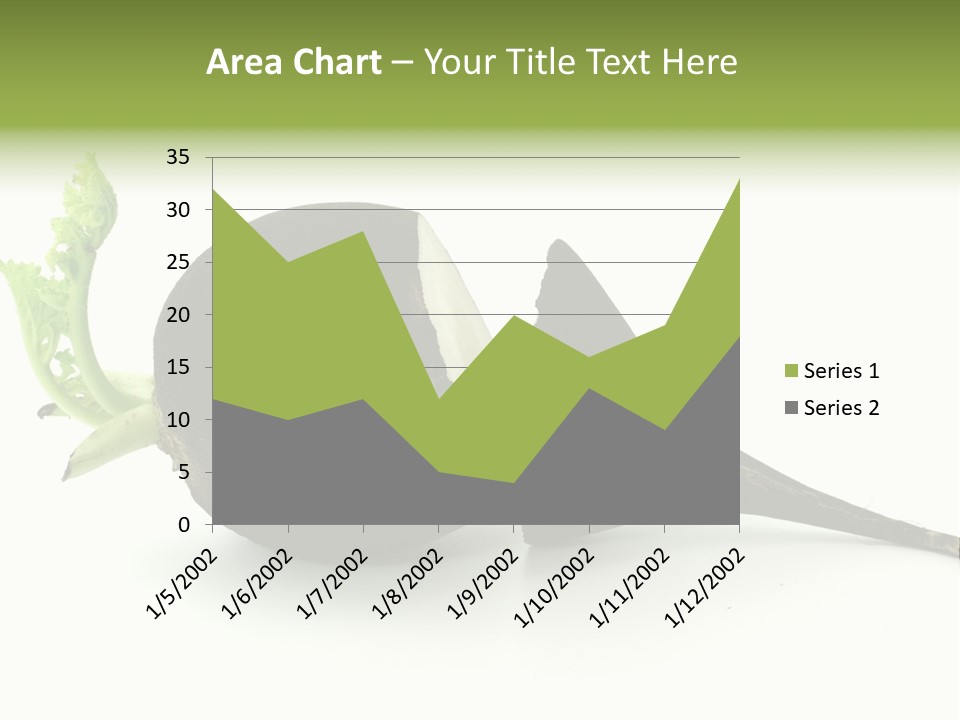 Radish (Raphanus) PowerPoint Template