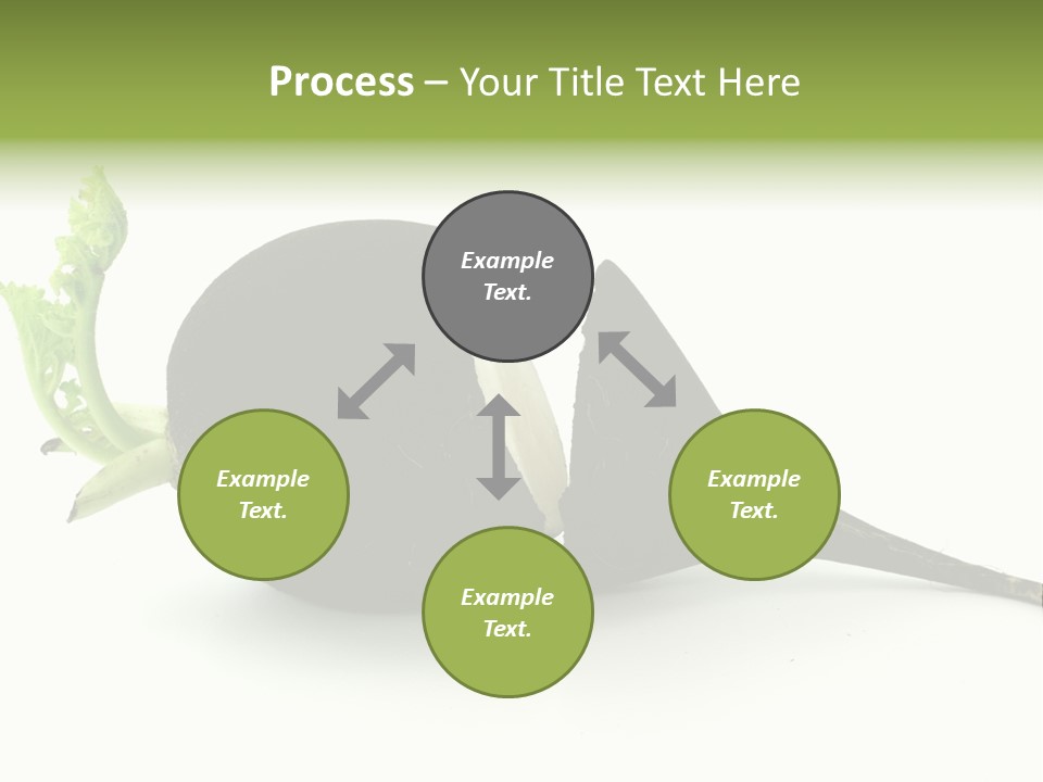 Radish (Raphanus) PowerPoint Template