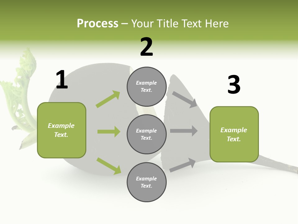 Radish (Raphanus) PowerPoint Template