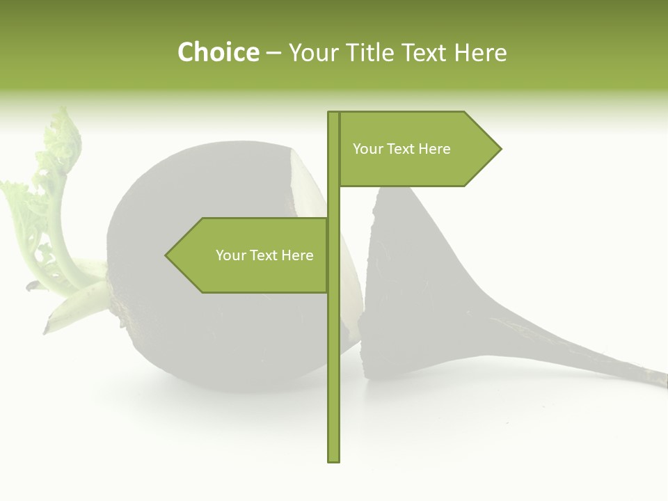 Radish (Raphanus) PowerPoint Template