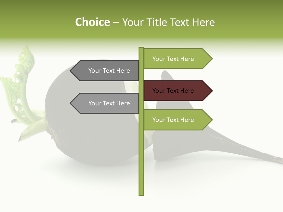 Radish (Raphanus) PowerPoint Template