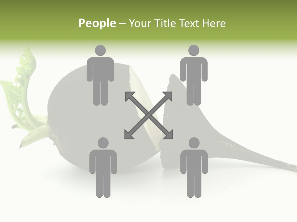 Radish (Raphanus) PowerPoint Template