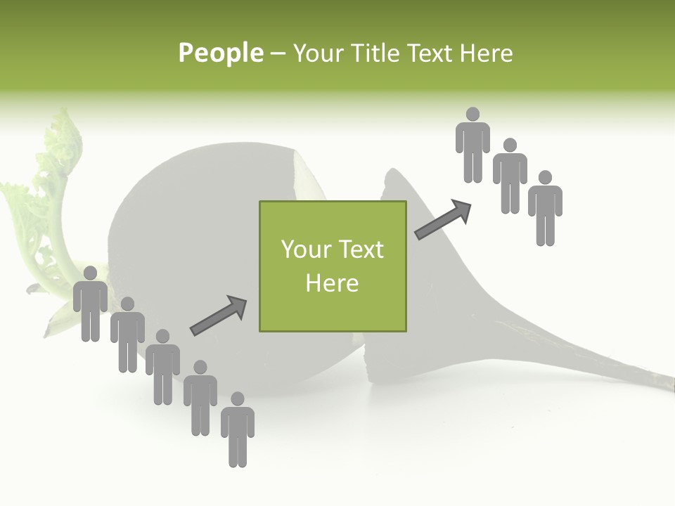 Radish (Raphanus) PowerPoint Template