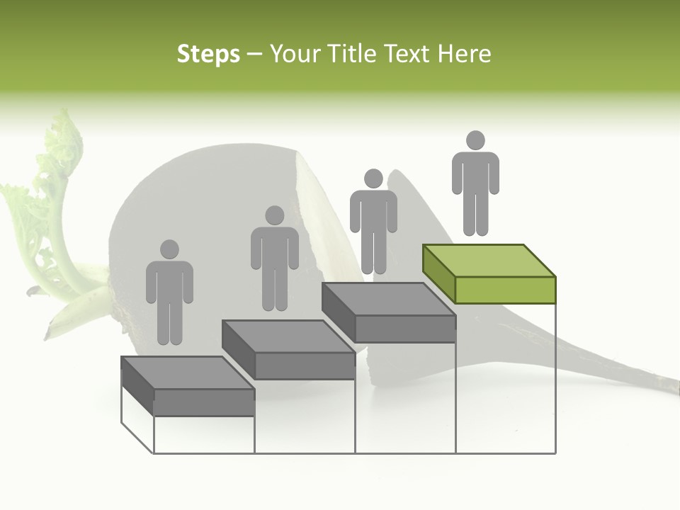 Radish (Raphanus) PowerPoint Template