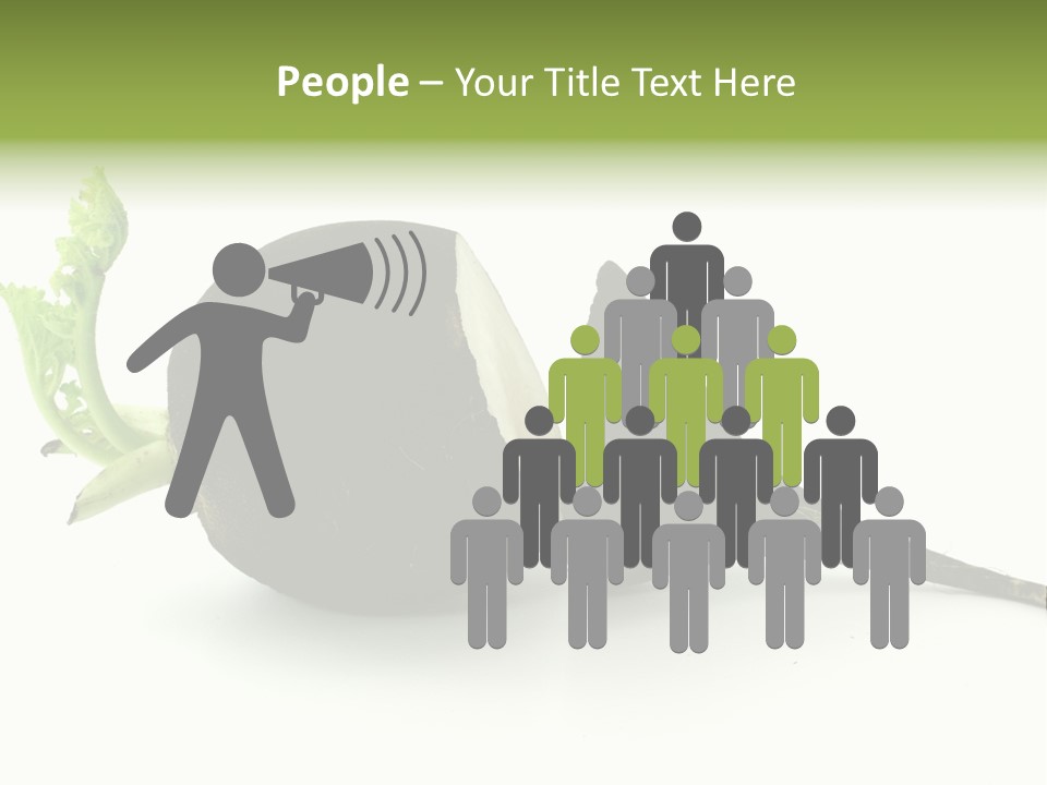 Radish (Raphanus) PowerPoint Template