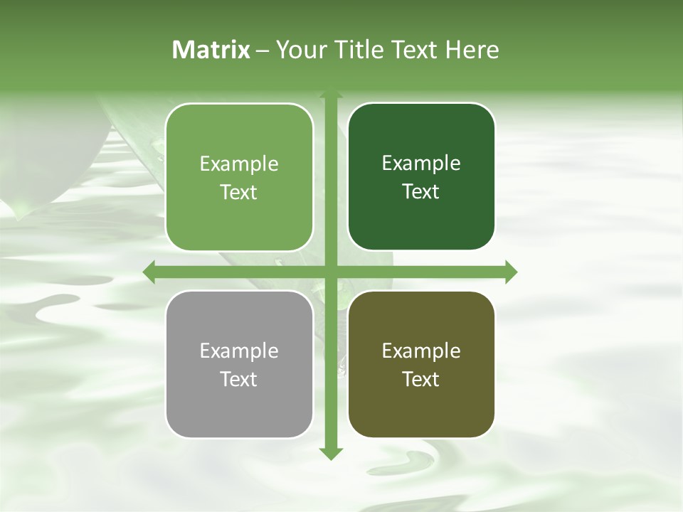 Green Leave At Brunch With Drops Against The Water Background PowerPoint Template