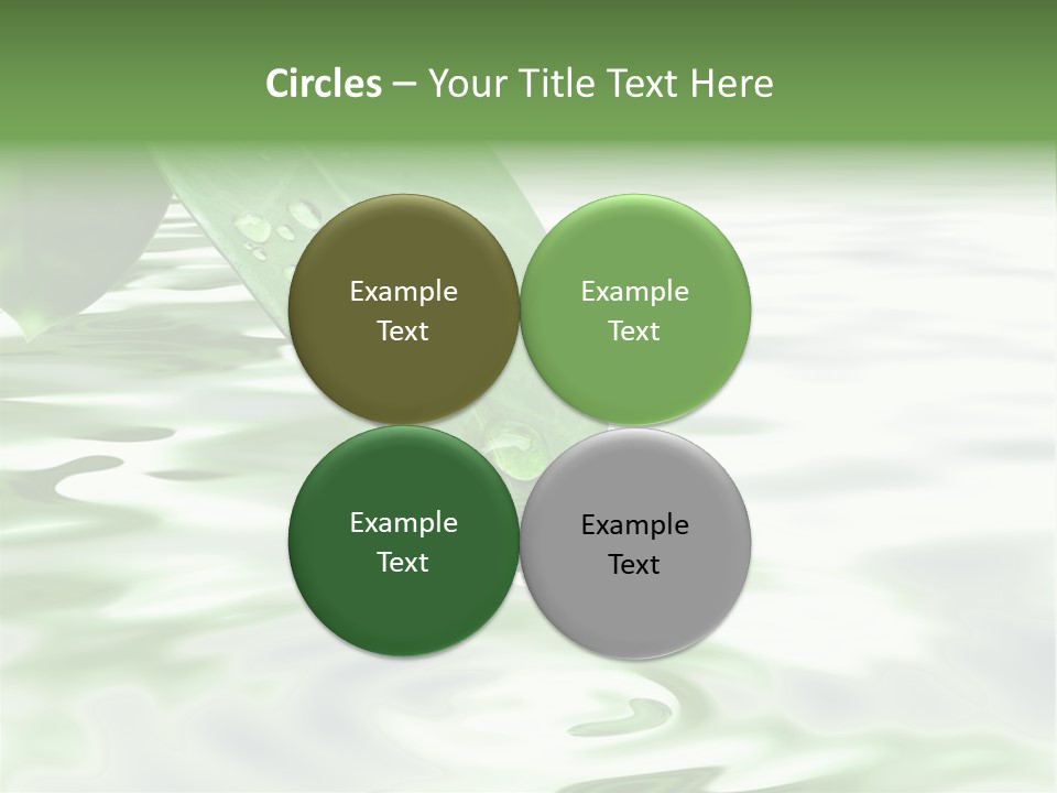 Green Leave At Brunch With Drops Against The Water Background PowerPoint Template