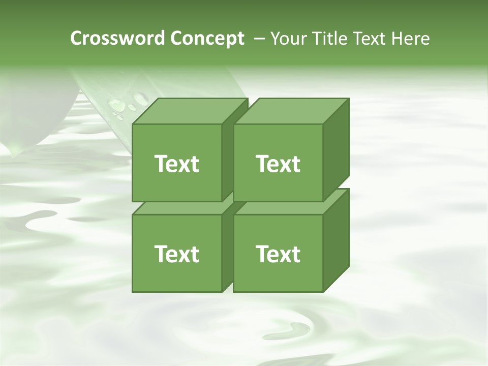 Green Leave At Brunch With Drops Against The Water Background PowerPoint Template