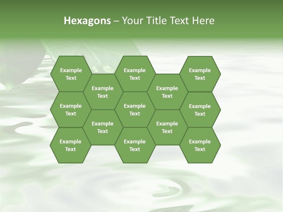 Green Leave At Brunch With Drops Against The Water Background PowerPoint Template