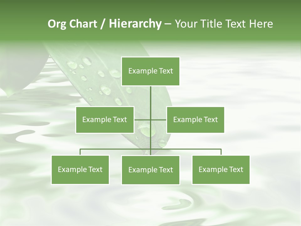 Green Leave At Brunch With Drops Against The Water Background PowerPoint Template