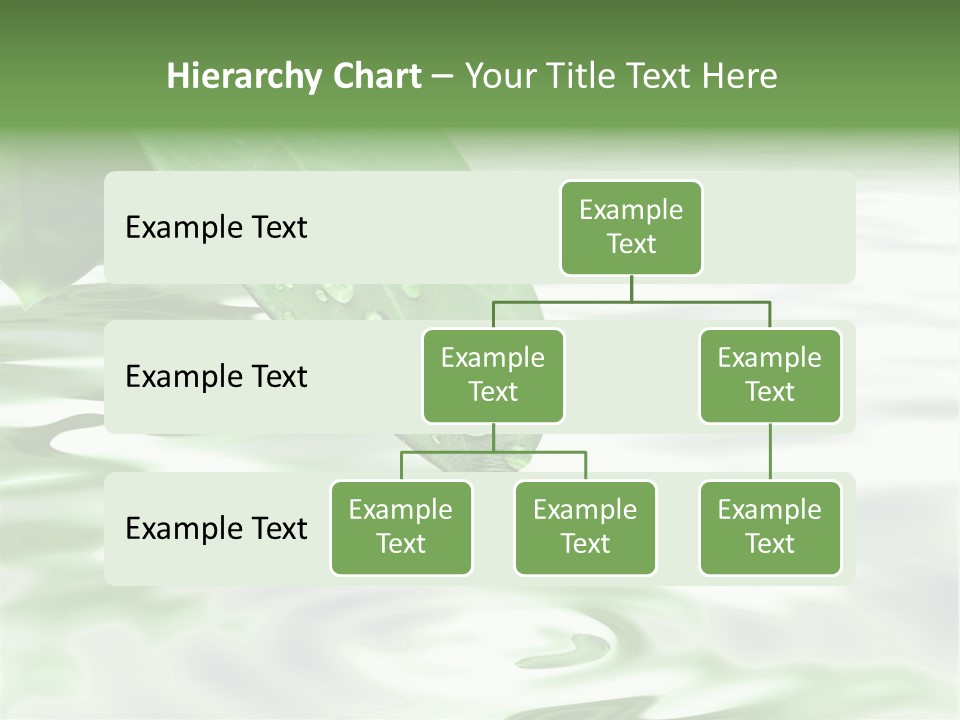 Green Leave At Brunch With Drops Against The Water Background PowerPoint Template