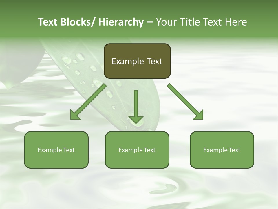 Green Leave At Brunch With Drops Against The Water Background PowerPoint Template