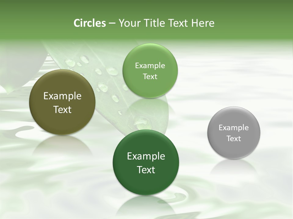 Green Leave At Brunch With Drops Against The Water Background PowerPoint Template