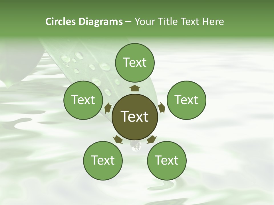 Green Leave At Brunch With Drops Against The Water Background PowerPoint Template