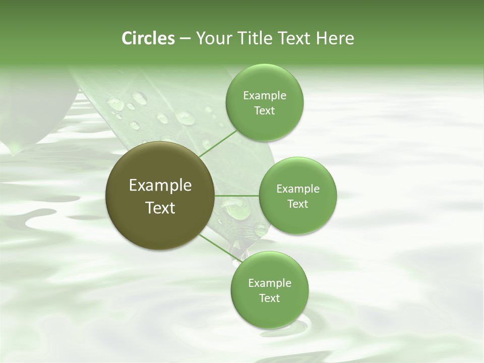 Green Leave At Brunch With Drops Against The Water Background PowerPoint Template