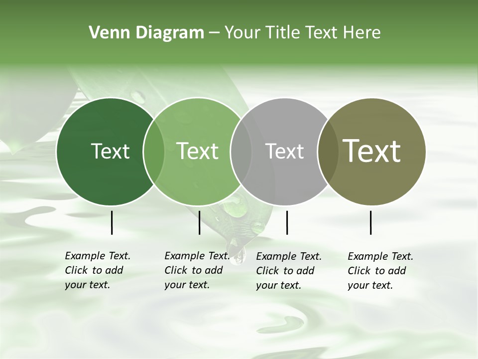 Green Leave At Brunch With Drops Against The Water Background PowerPoint Template