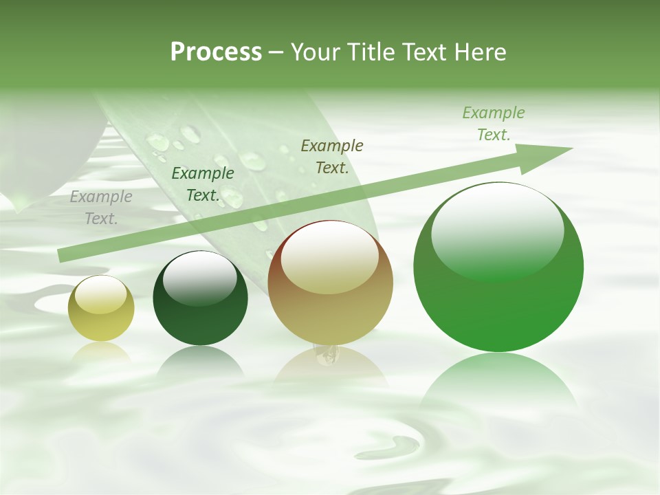 Green Leave At Brunch With Drops Against The Water Background PowerPoint Template