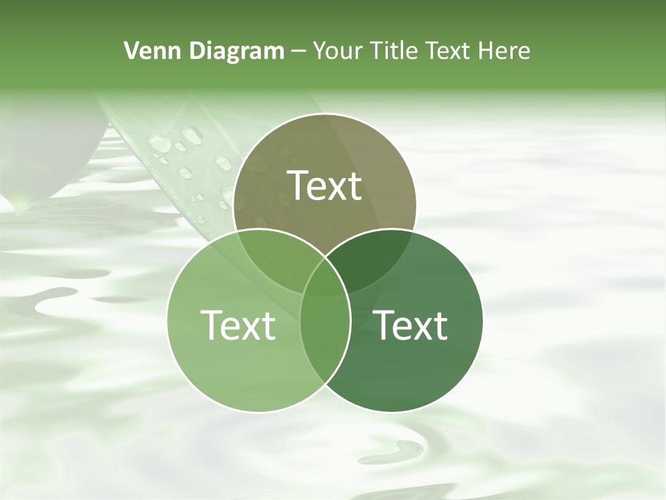 Green Leave At Brunch With Drops Against The Water Background PowerPoint Template
