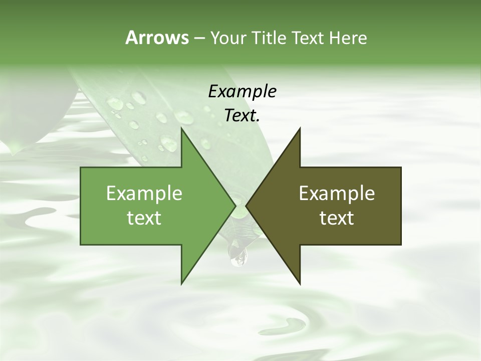 Green Leave At Brunch With Drops Against The Water Background PowerPoint Template