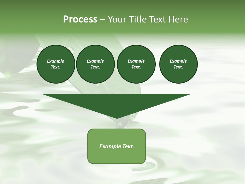 Green Leave At Brunch With Drops Against The Water Background PowerPoint Template