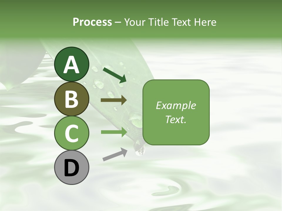 Green Leave At Brunch With Drops Against The Water Background PowerPoint Template