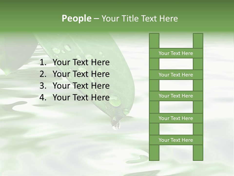 Green Leave At Brunch With Drops Against The Water Background PowerPoint Template