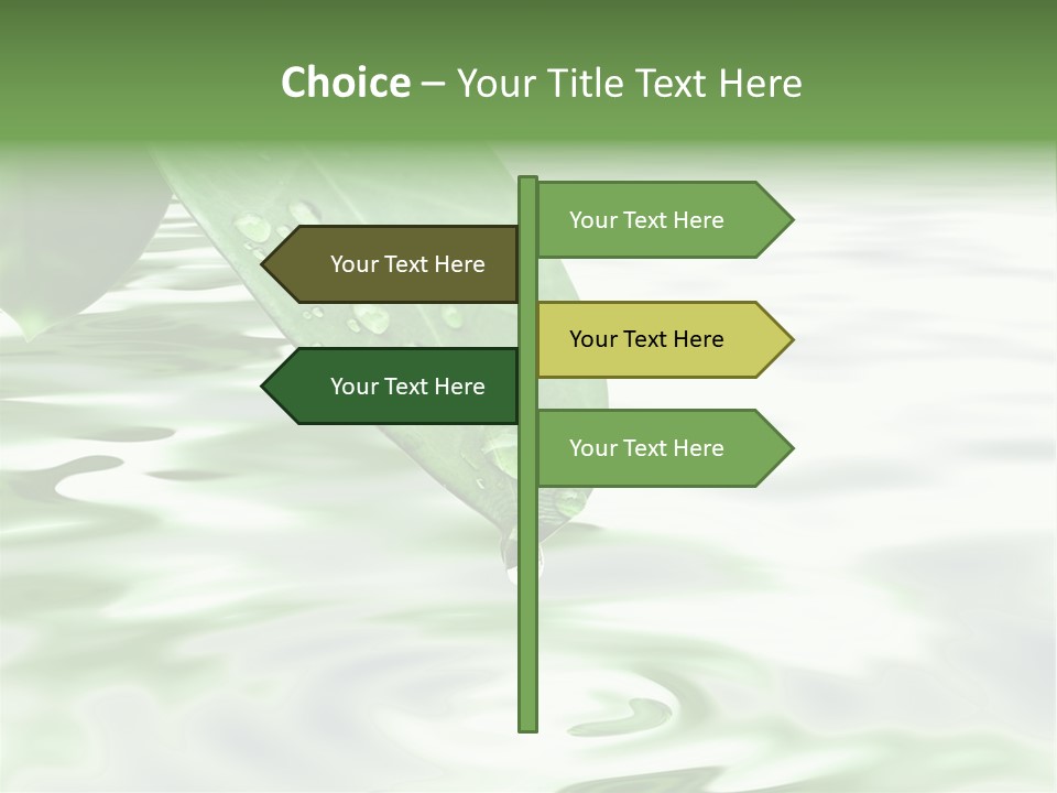 Green Leave At Brunch With Drops Against The Water Background PowerPoint Template