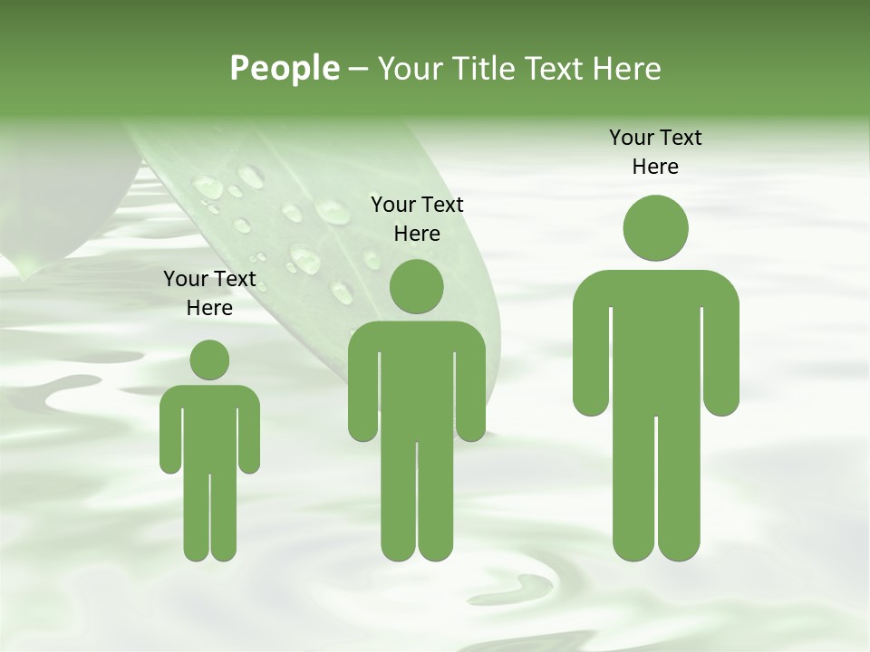 Green Leave At Brunch With Drops Against The Water Background PowerPoint Template