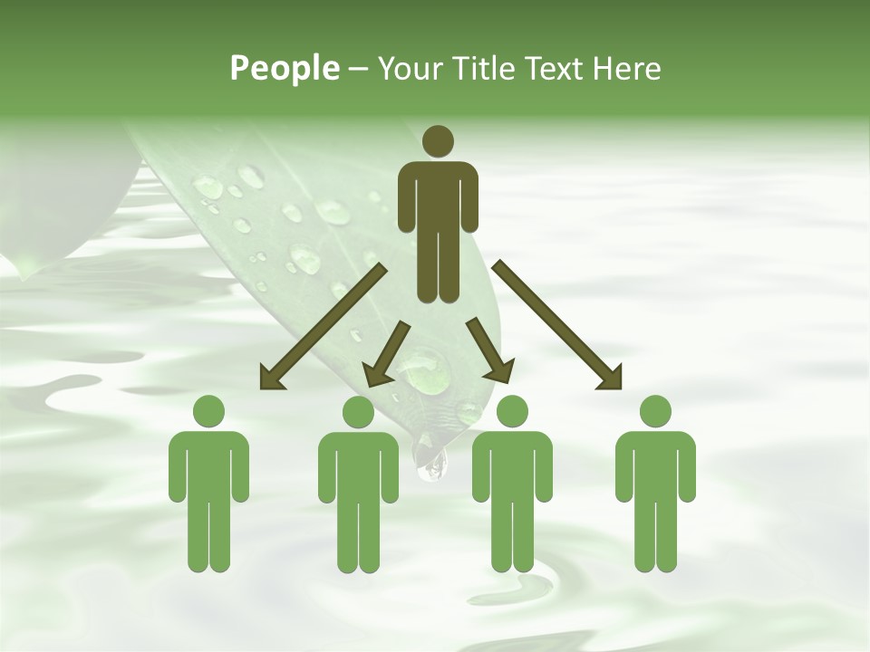 Green Leave At Brunch With Drops Against The Water Background PowerPoint Template