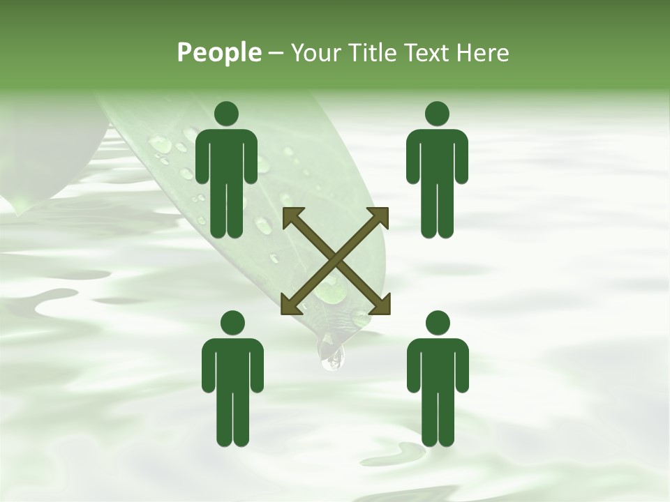 Green Leave At Brunch With Drops Against The Water Background PowerPoint Template