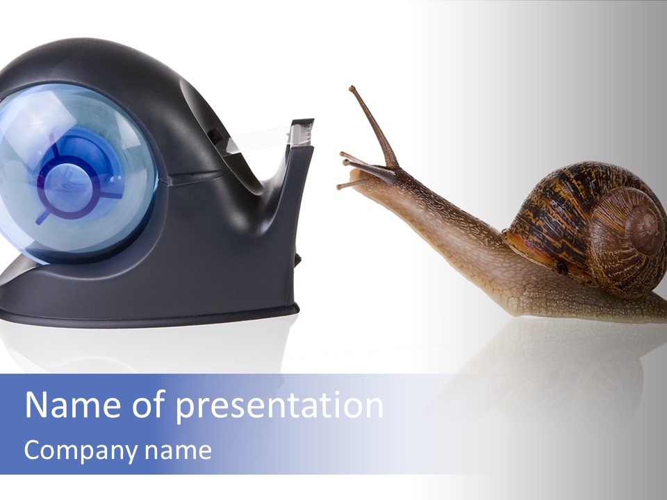 Garden Snail Falling In Love With A Sellotape Holder PowerPoint Template