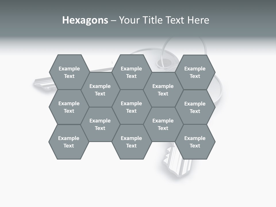 Open Sunflower Blossoms On A Field In The Sun PowerPoint Template