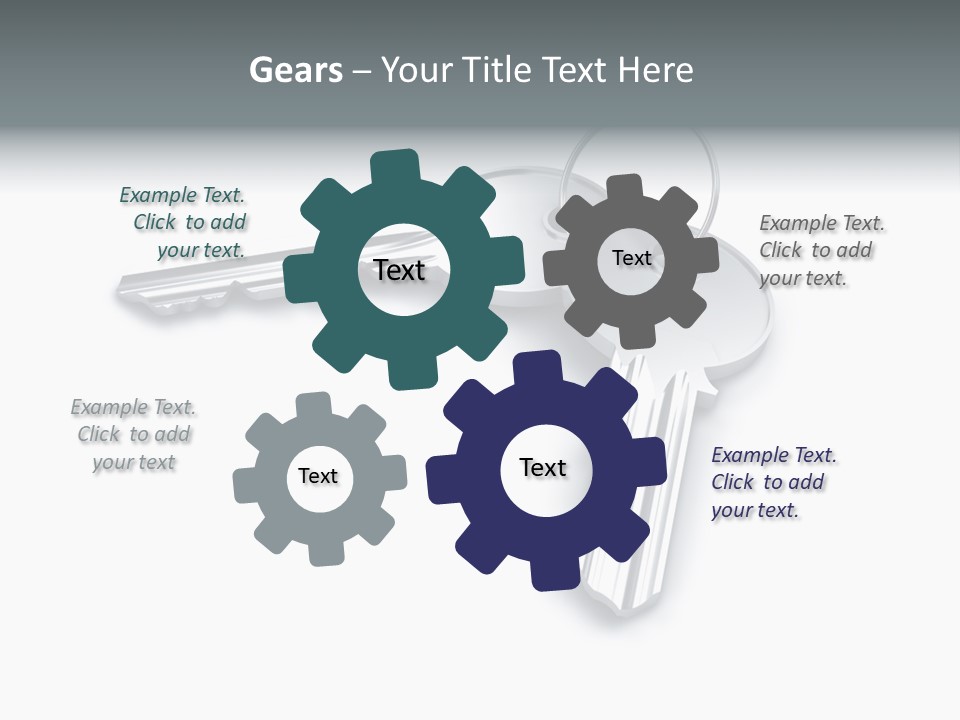 Open Sunflower Blossoms On A Field In The Sun PowerPoint Template