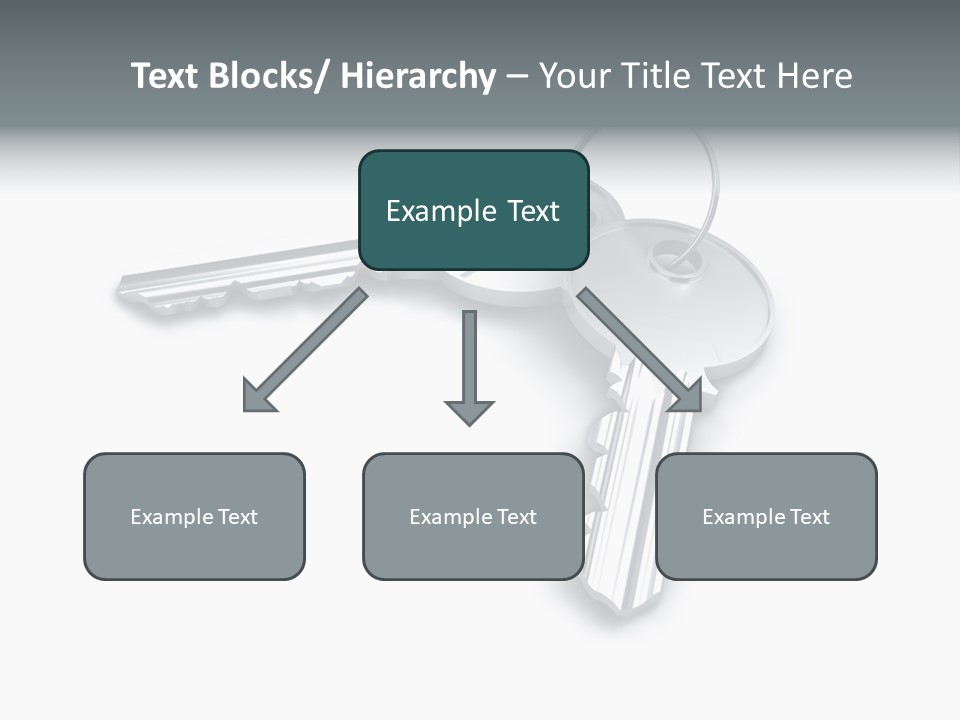 Open Sunflower Blossoms On A Field In The Sun PowerPoint Template