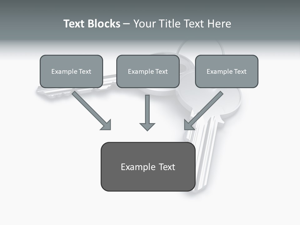 Open Sunflower Blossoms On A Field In The Sun PowerPoint Template