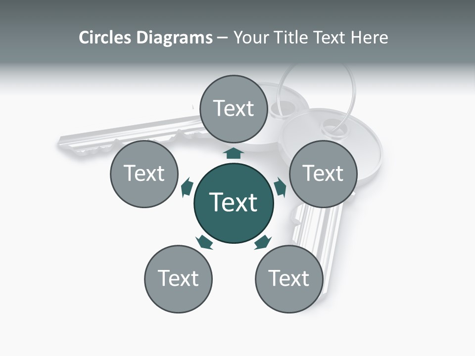 Open Sunflower Blossoms On A Field In The Sun PowerPoint Template