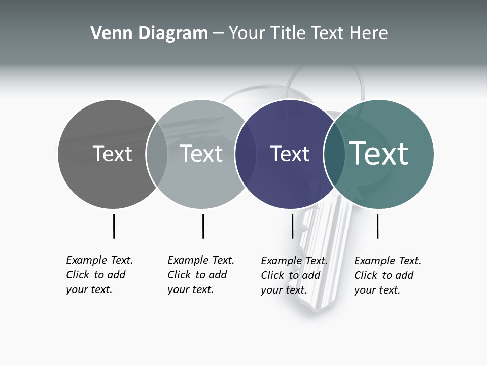 Open Sunflower Blossoms On A Field In The Sun PowerPoint Template
