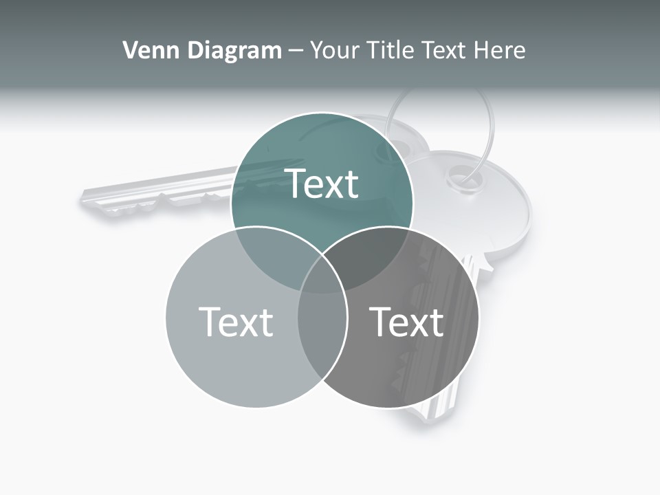 Open Sunflower Blossoms On A Field In The Sun PowerPoint Template