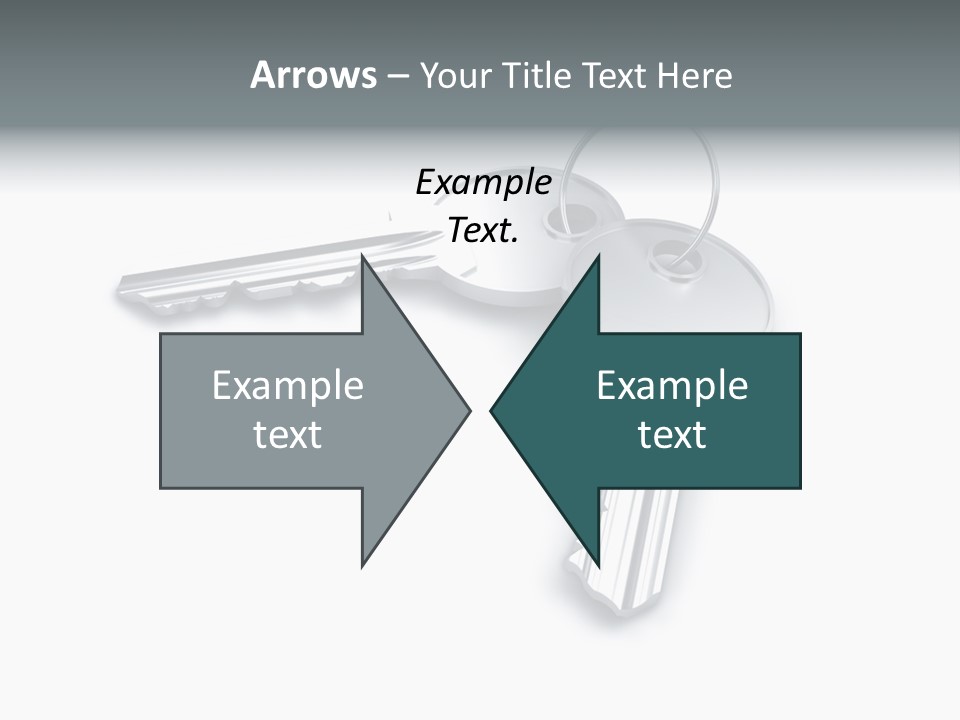Open Sunflower Blossoms On A Field In The Sun PowerPoint Template
