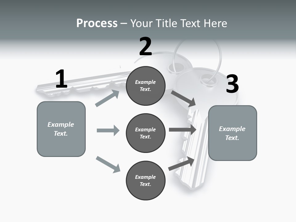 Open Sunflower Blossoms On A Field In The Sun PowerPoint Template